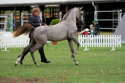 622223 10151272961210792 318262363 o