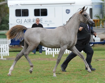 705164 514501645235236 1840486333 o